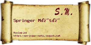 Springer Máté névjegykártya