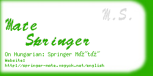 mate springer business card